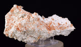 16.5cms LIMONITE IN SELENITE CRYSTAL COLLECTOR PERU MINERAL SPECIMEN TB128