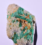 5.9cm EMERALD CRYSTAL PYRITE SLATE CALCITE QUARTZ COLOMBIA MINERAL SPECIMEN EB83