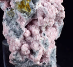 5.5cms RHODOCHROSITE ROSETTE PERU PINK CRYSTALS HUANZALA MINE MINERAL RB572