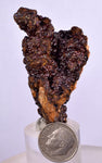 5.7cms GOETHITE BOTRYOIDAL IRIDESCENT CRYSTALS PERU IRON NEW FIND MINERAL ZB34
