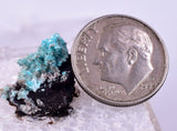 1.6cm AURICHALCITE CRYSTALS DURANGO MEXICO MINERAL SPECIMEN WB29