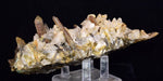 14cms CALCITE TOOTH DOG WITH QUARTZ CRYSTALS PERU SHINY MINERAL SPECIMEN GB47