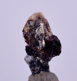 0.8cms NATIVE SILVER WIRE PERU UCHUCCHACUA MINE MINERAL SPECIMEN HB221