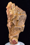 5.3cms GEM RHODOCHROSITE CUBIC CRYSTALS GOETHITE PERU MINERAL SPECIMEN RB608