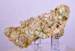 6.7cms YELLOW APATITE CRYSTALS IMILCHIL MOROCCO MINERAL SPECIMEN AB238