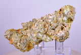 6.7cms YELLOW APATITE CRYSTALS IMILCHIL MOROCCO MINERAL SPECIMEN AB238