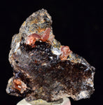 2.5cm RHODOCHROSITE CRYSTALS PERU OLD STOCK UCHUCCHACUA MINERAL SPECIMEN RB489