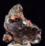 2.5cm RHODOCHROSITE CRYSTALS PERU OLD STOCK UCHUCCHACUA MINERAL SPECIMEN RB489