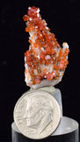 3.1cm VANADINITE CRYSTAL BARITE MIBLADEN MOROCCO MINIATURE MINERAL SPECIMEN WB16