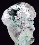 3.7cms CHRYSOCOLLA INSIDE SELENITE CRYSTAL LILY MINE 2000 DISCOVERY PERU TB99