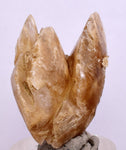 3.5 cms DESERT ROSE SELENITE CRYSTAL PERU GOLDEN SUISEKI TRANSLUCENT TB95
