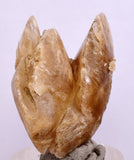 3.5 cms DESERT ROSE SELENITE CRYSTAL PERU GOLDEN SUISEKI TRANSLUCENT TB95