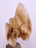 4.2 cms DESERT ROSE SELENITE CRYSTAL PERU GOLDEN SUISEKI TRANSLUCENT TB96