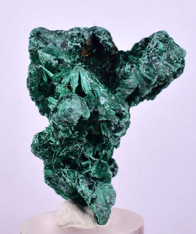 3.7cms MALACHITE MINI CRYSTALS CONGO MINDINGI MINE SHINY MINERAL SPECIMEN UB228