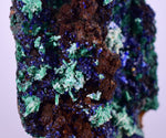 5.1cms AZURITE MALCHITE CRYSTALS MINERAL SPECIMEN AHOULI MINES MOROCCO UB218