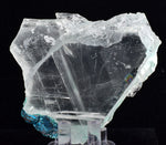 7.7cms GEM ATACAMITE INSIDE SELENITE CRYSTAL LILY MINE 2000 DISCOVERY PERU AB117
