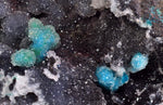 6.8cms DRUZY CHRYSOCOLLA QUARTZ CHILE INCA DE ORO MINERAL SPECIMEN DB93