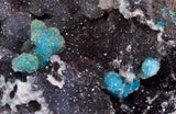 6.8cms DRUZY CHRYSOCOLLA QUARTZ CHILE INCA DE ORO MINERAL SPECIMEN DB93