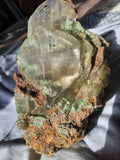 21.5cms TWIN SELENITE CRYSTALS CHRYSOCOLLA SPHERES INSIDE LILY MINE PERU TB126