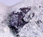 4.8cms PROUSTITE RED RUBY SILVER PERU UCHUCCHACUA MINE MINERAL SPECIMEN HB139