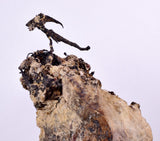 9.5cm NATIVE SILVER WIRES PERU UCHUCCHACUA MINE PYRITE PROUSTITE MANGANITE HB163