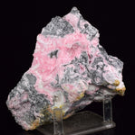 12cms RHODOCHROSITE ROSETTE PERU PINK CRYSTALS HUANZALA MINE MINERAL RB473