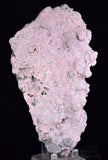 18cms RHODOCHROSITE ROSETTE PERU PINK CRYSTALS HUANZALA MINE MINERAL RB603