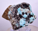 5.9cms DRUZY CHRYSOCOLLA QUARTZ LILY MINE PERU COPPER 2000 DISCOVERY DB32