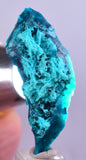 4cm GEM BLUE MALACHITE CHRYSOCOLLA PERU ROSETTE BOTRYOIDAL CRYSTAL GRAPE  UB120