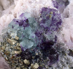 15ms  GREEN PURPLE FLUORITE PYRITE CRYSTAL PERU HUANZALA MINE SHINY KB17