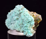 4cm SHATTUCKITE ON SELENITE PICKERINGITE CRYSTAL BI COLOR PERU CHRYSOCOLLA  TB69