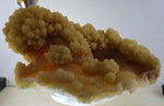 18cms NATURAL SCULPTURE LION CALCITE ARAGONITE (?) CRYSTALS PERU SHINY GB56