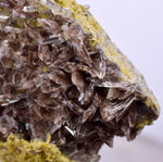 5.7cms PREMIUM AXINITE QUARTZ CRYSTALS PERU AESTHETIC COLLECTOR AB190