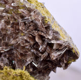5.7cms PREMIUM AXINITE QUARTZ CRYSTALS PERU AESTHETIC COLLECTOR AB190