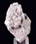 3.8cms PROUSTITE RED RUBY SILVER  MANGANO CALCITE PERU UCHUCCHACUA MINE HB268