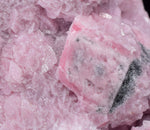 6.7cms RHODOCHROSITE ROSETTE PERU PINK CRYSTALS HUANZALA MINE MINERAL RB469