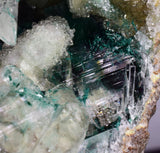 14cms GEM ATACAMITE INSIDE SELENITE CRYSTAL LILY MINE 2000 DISCOVERY PERU AB183