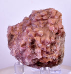 5cms COBALTOAN CALCITE SHINY CRYSTAL MOROCCO MINERAL SPECIMEN GB61