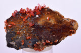6cm VANADINITE HOLLANDITE CRYSTAL MIBLADEN MOROCCO  MINERAL SPECIMEN WB34