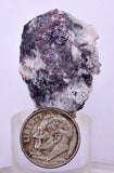 3.5cms PROUSTITE RED RUBY SILVER PERU UCHUCCHACUA MINE MINERAL SPECIMEN HB136