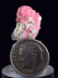 1.7cms RHODOCHROSITE PYRITE FLUORITE CHINA CRYSTAL RHOMBOHEDRAL MINIATURE RB637