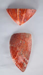 2 PIECES OF SPINY OYSTER POLISHED PERU JEWELRY PENDANT BB134