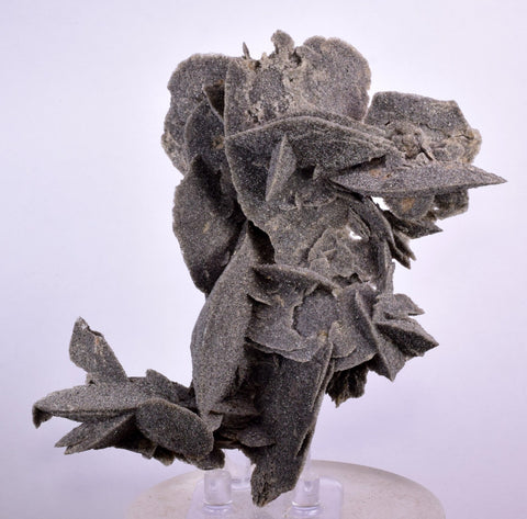 12cms SELENITE DESERT ROSE GYPSUM CRYSTALS COLLECTORS PERU MINERAL SPECIMEN TB56