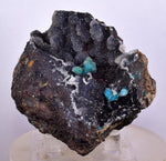 6.8cms DRUZY CHRYSOCOLLA QUARTZ CHILE INCA DE ORO MINERAL SPECIMEN DB93