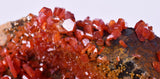 6cm VANADINITE HOLLANDITE CRYSTAL MIBLADEN MOROCCO  MINERAL SPECIMEN WB34