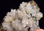9.5cms CALCITE TOOTH DOG WITH QUARTZ CRYSTALS PERU SHINY MINERAL SPECIMEN GB46