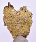 5.1cms PREMIUM HEART AXINITE QUARTZ CRYSTALS PERU AESTHETIC COLLECTOR AB133