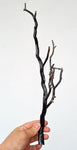 40cms GOLDEN BLACK CORAL POLISHED PERU NATURAL BRANCH SEA GENUINE VB05