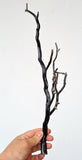 40cms GOLDEN BLACK CORAL POLISHED PERU NATURAL BRANCH SEA GENUINE VB05