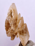 4.2 cms DESERT ROSE SELENITE CRYSTAL PERU GOLDEN SUISEKI TRANSLUCENT TB96